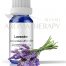 Image of Lavender Essential Oil