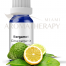 Image of Bergamot Essential Oil