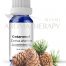 Image of Cedarwood Atlas Essential Oil